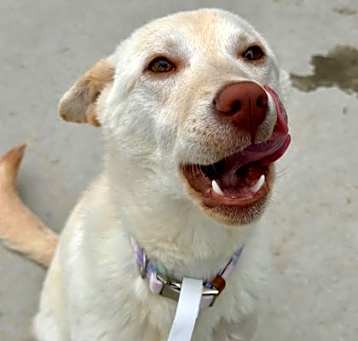 Photo of Winnie