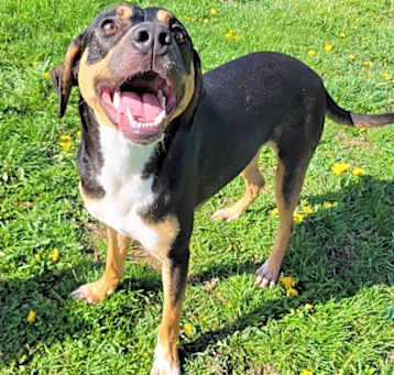 Photo of Twix