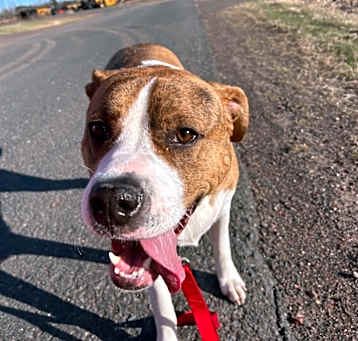 Photo of Dora
