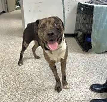 Photo of Tank