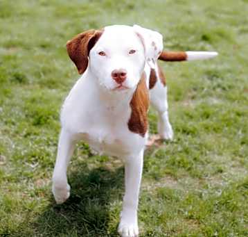 Photo of Alira