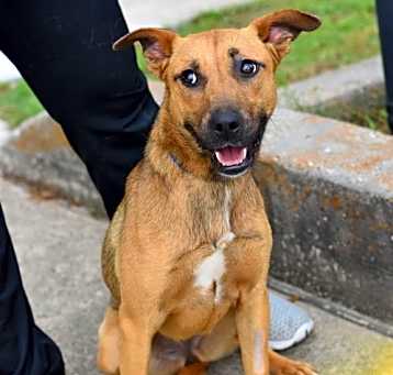 Photo of Penny
