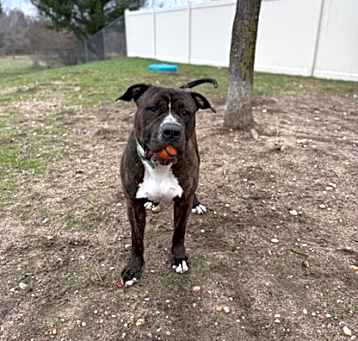 Photo of Mr. Pants