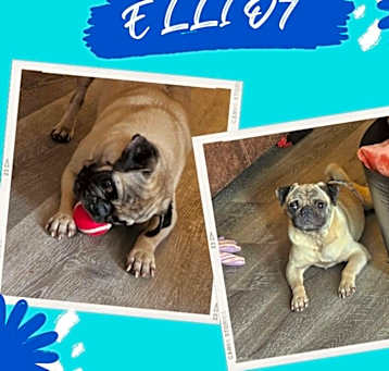Photo of Elliot