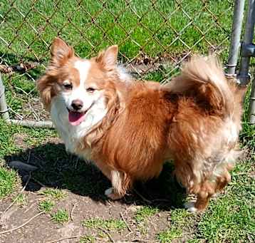 Photo of Cosmo