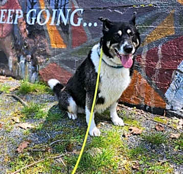 Photo of Benita