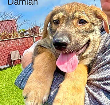 Photo of Damian