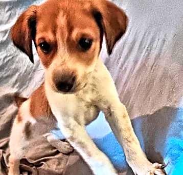 Photo of Lulu