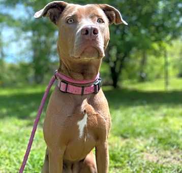 Photo of Bella