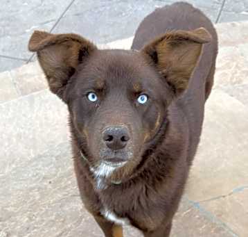 Photo of Hershey