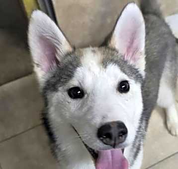 Photo of Alma
