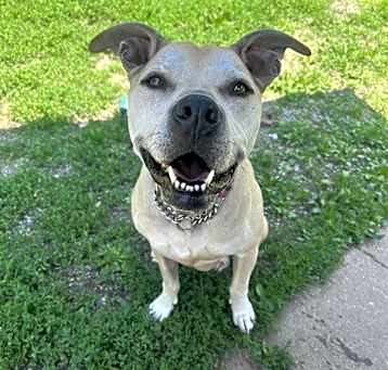 Photo of Athena