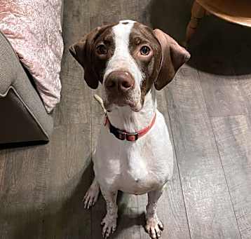 Photo of Kingston