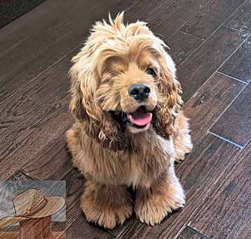 Photo of Maverick