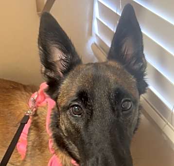 Photo of Ellie