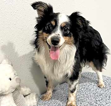 Photo of Lilly