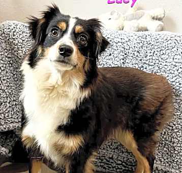 Photo of Lucy
