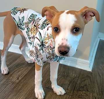 Photo of Daisy Mae