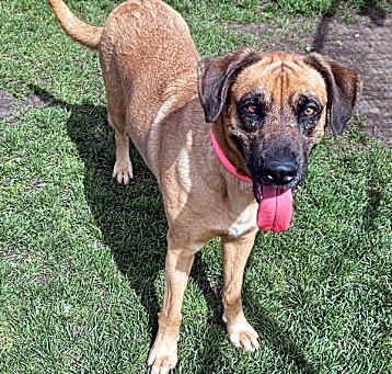 Photo of Greta