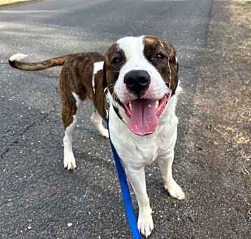 Photo of Barney