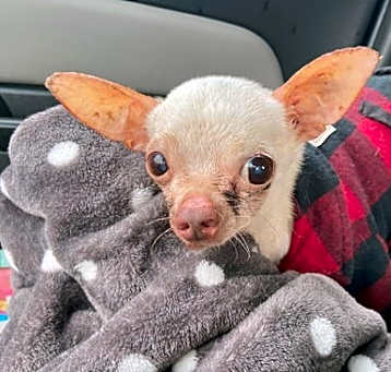 Photo of Gus