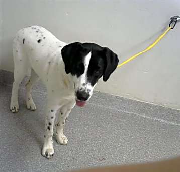 Photo of ROXY