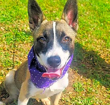 Photo of Rizzo