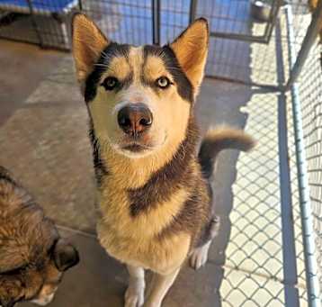 Photo of Thor