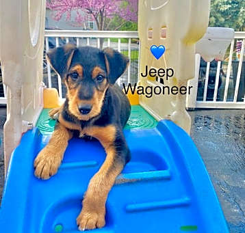 Photo of Jeep Wagoneer