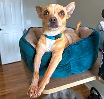 Photo of Gus