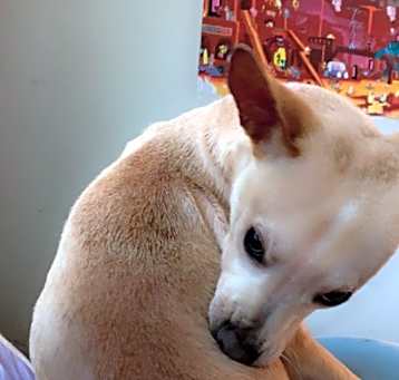 Photo of Kiarose