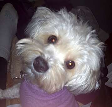 Photo of Sammi