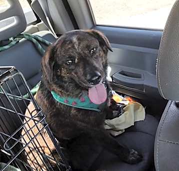 Photo of Zeke