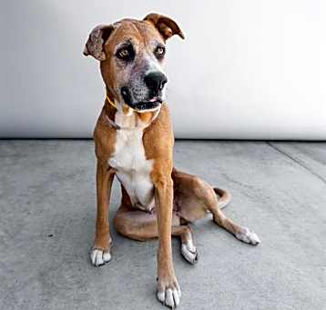 Photo of ROXY