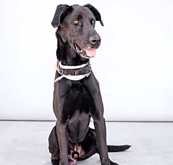 Photo of MAX
