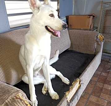 Photo of Maggie