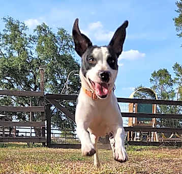Photo of Dottie