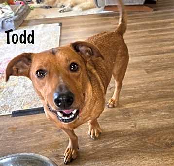 Photo of Todd
