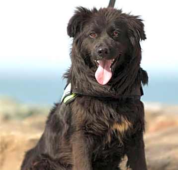 Photo of Esme
