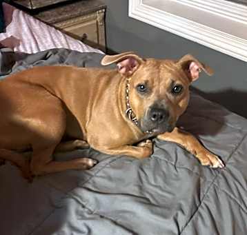 Photo of Roxy