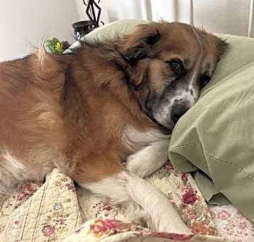 Photo of Hera