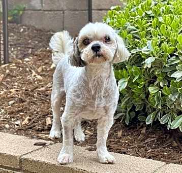 Photo of Wasabi