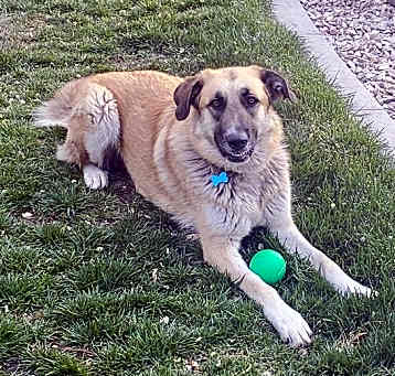 Photo of MABEL