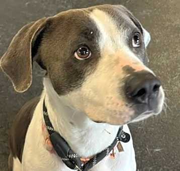 Photo of Kinley