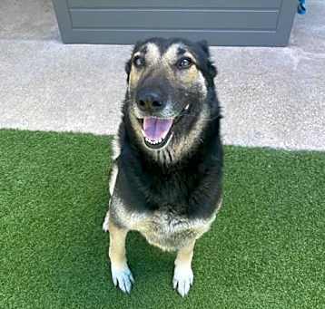 Photo of LUNA