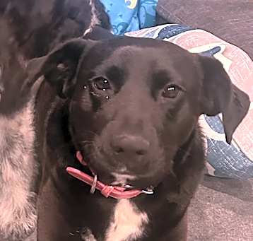 Photo of Betty