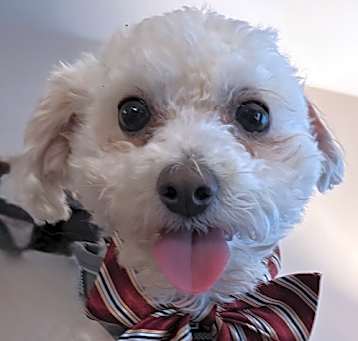Photo of Freddie