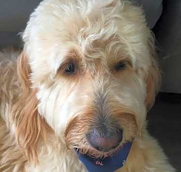 Photo of Maxey