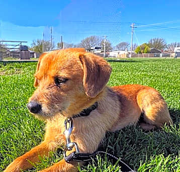 Photo of Lucas