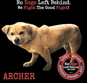 Photo of Archer 9420